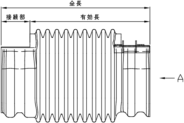 正面図
